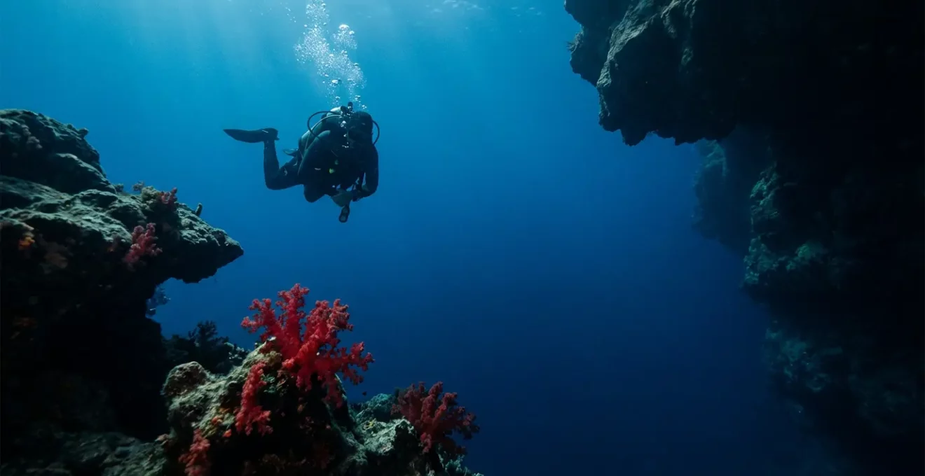 Plongeur observant une colonie de corail rouge dans les fonds marins de Corse
