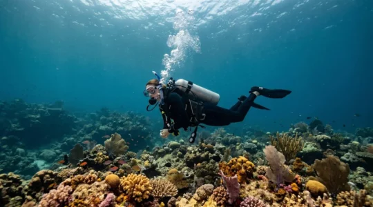 Plongeur en combinaison noire et équipement complet glissant au-dessus d'un fond rocheux coloré, bulles d'expiration régulières visibles, lumière naturelle bleutée filtrée depuis la surface